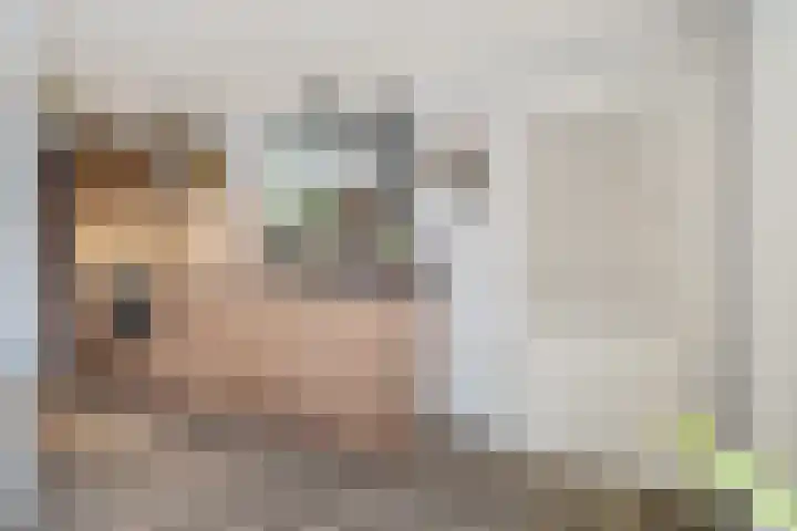 Rengelinkstraat 11 Almelo thumbnail 8