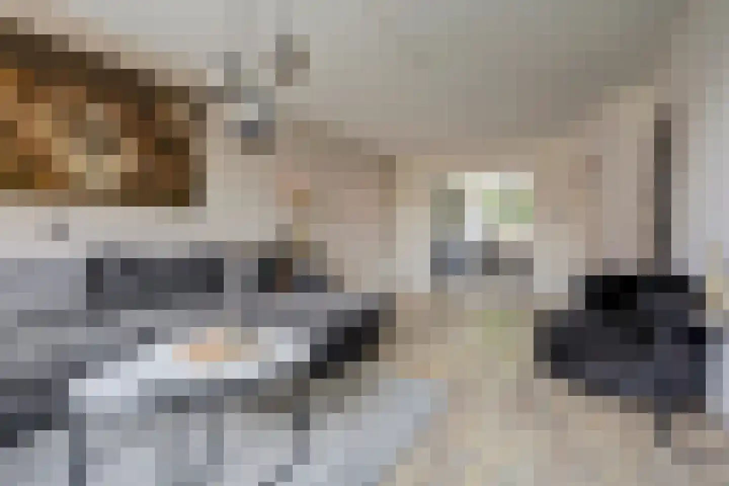 Rengelinkstraat 14 Almelo thumbnail 10