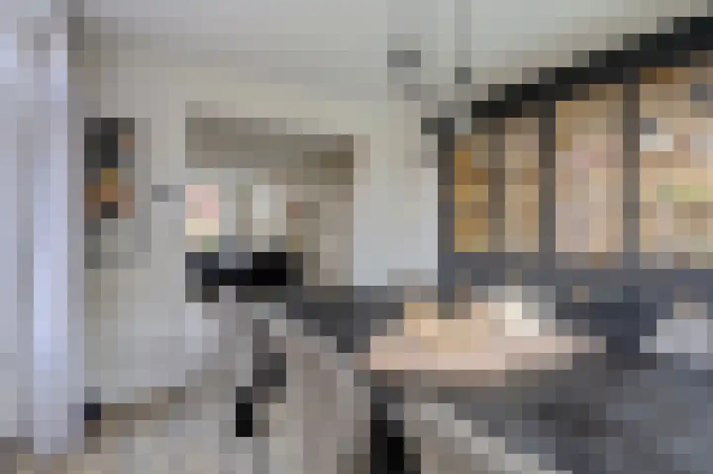 Rengelinkstraat 14 Almelo thumbnail 12