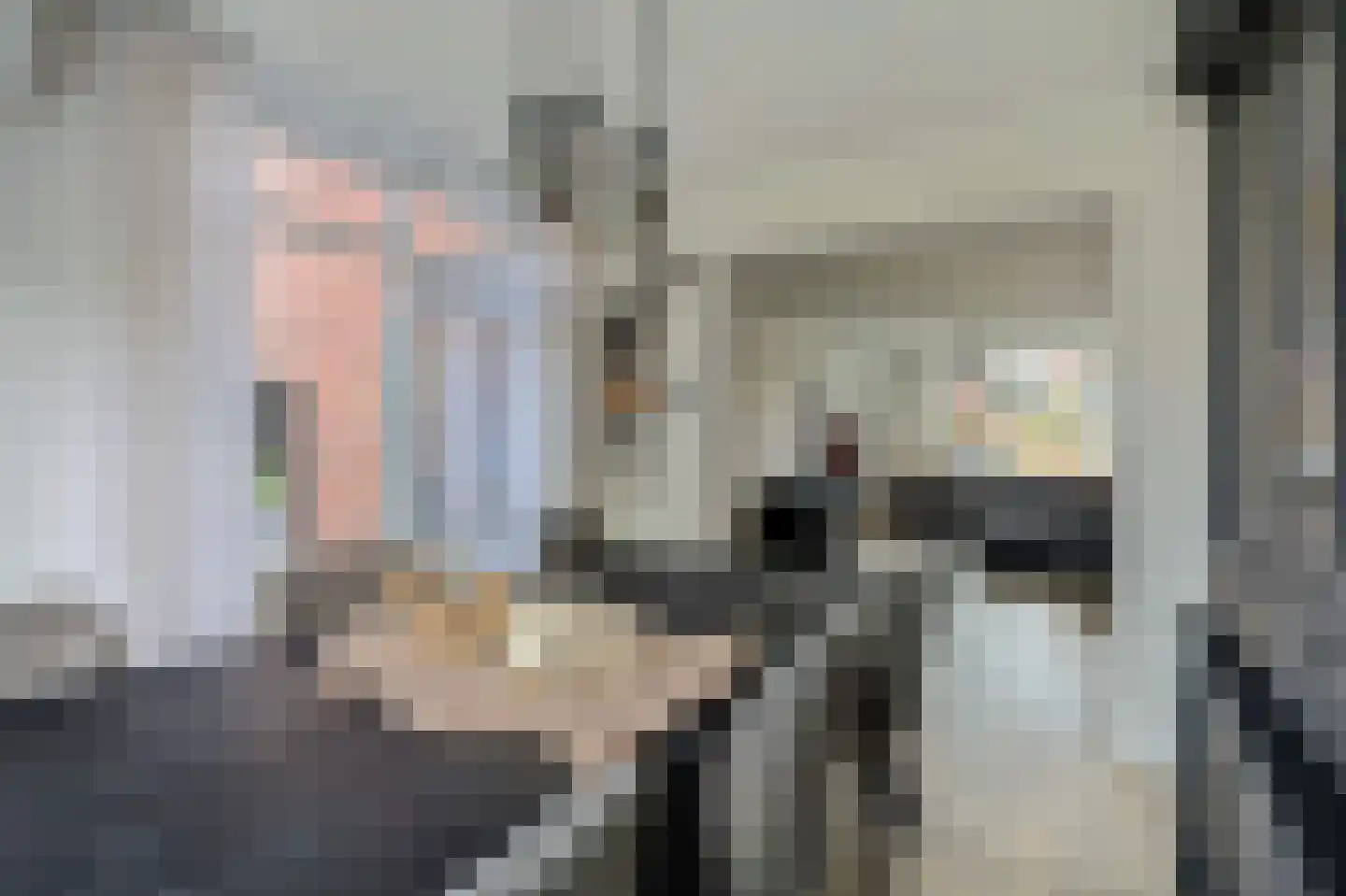 Rengelinkstraat 14 Almelo thumbnail 13