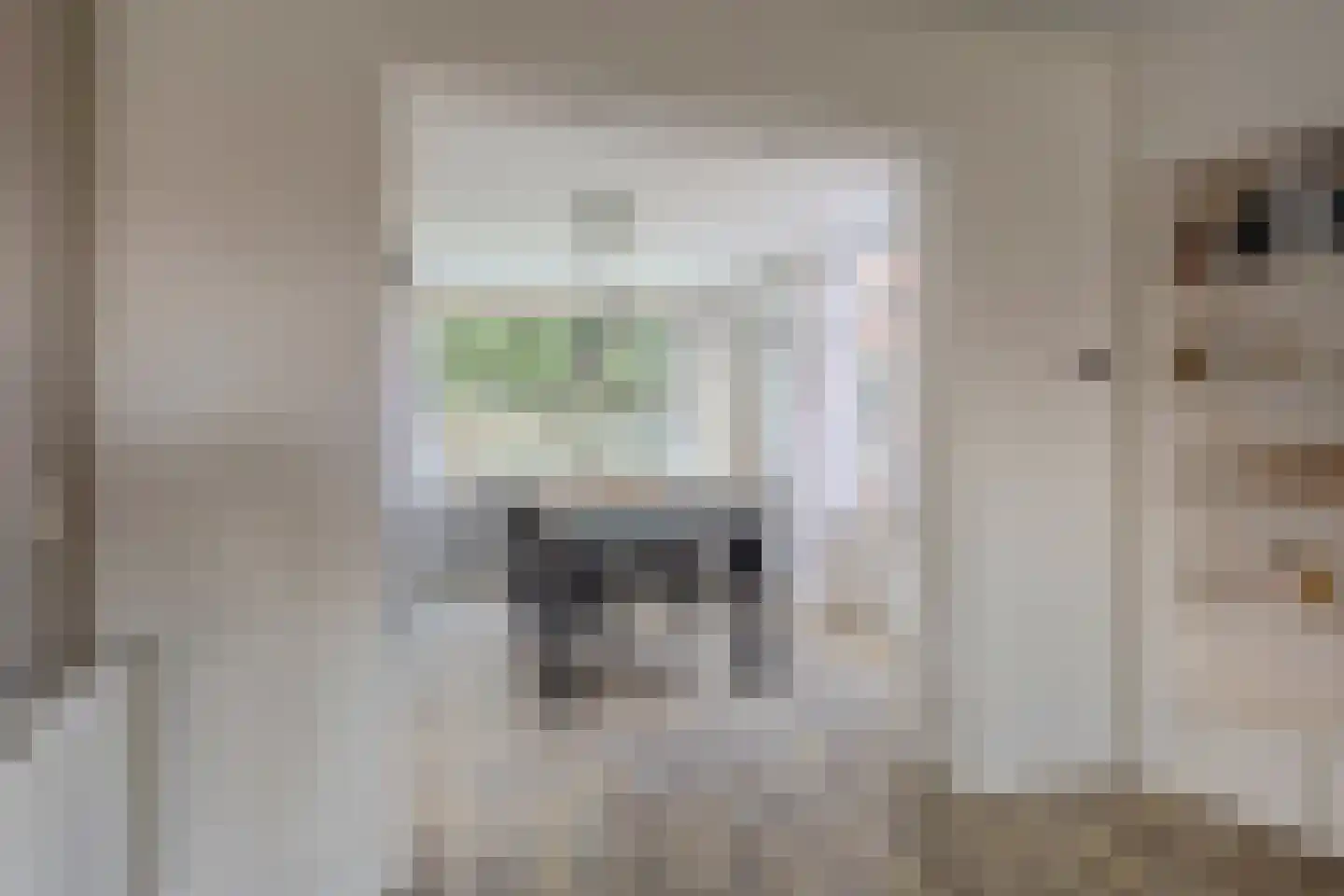 Rengelinkstraat 14 Almelo thumbnail 14