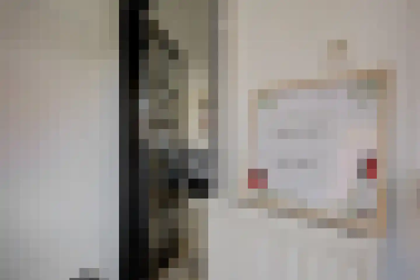 Rengelinkstraat 14 Almelo thumbnail 15