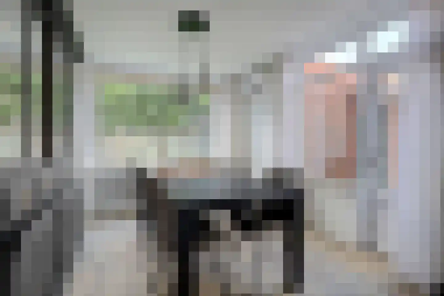 Rengelinkstraat 14 Almelo thumbnail 16