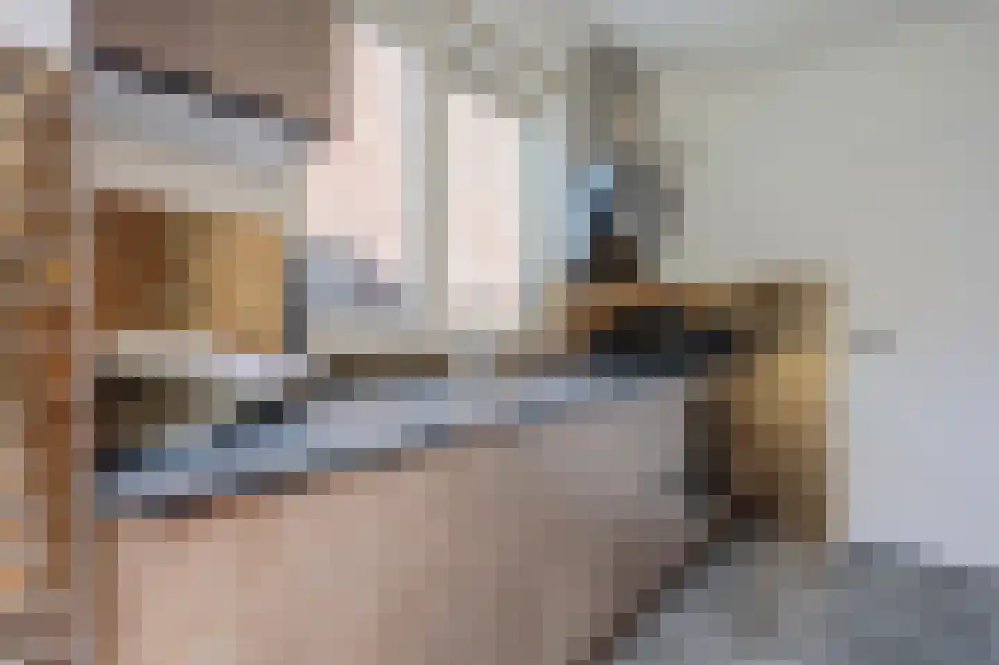 Rengelinkstraat 14 Almelo thumbnail 17