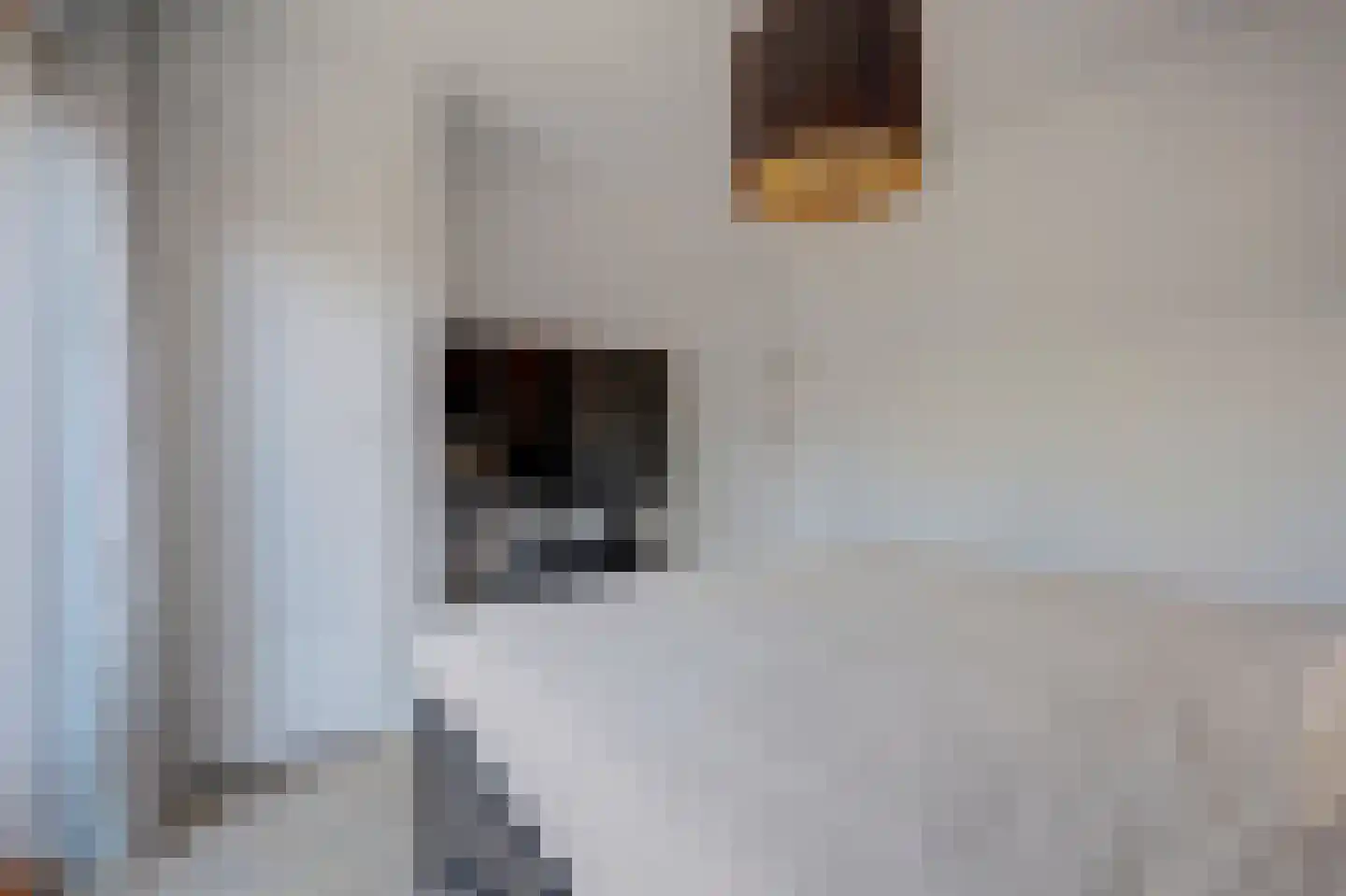 Rengelinkstraat 14 Almelo thumbnail 21