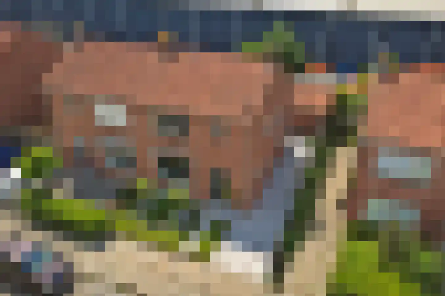 Rengelinkstraat 14 Almelo thumbnail 36