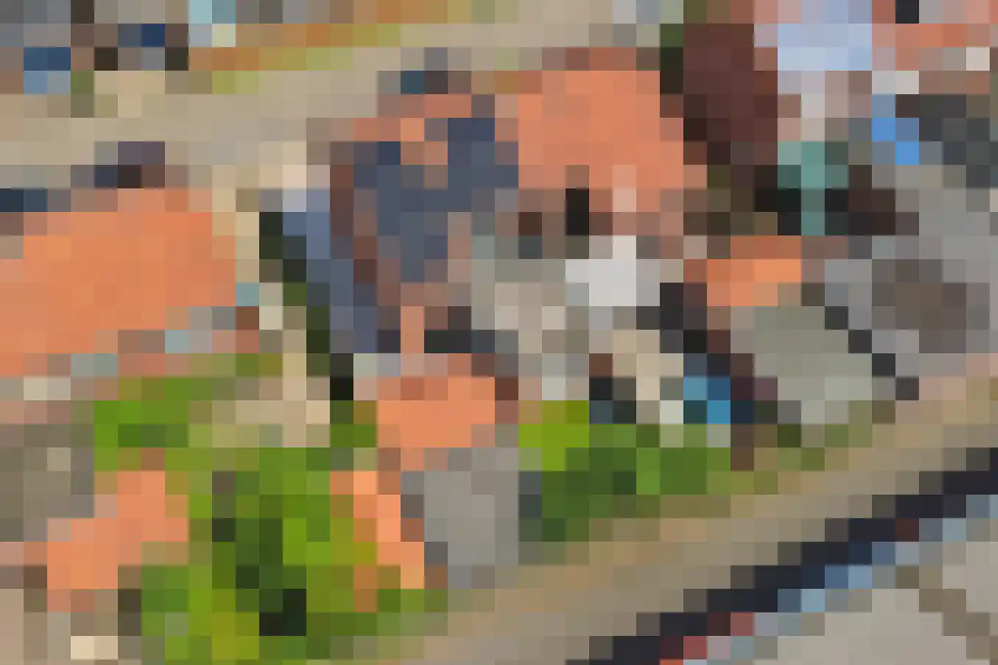 Rengelinkstraat 14 Almelo thumbnail 41