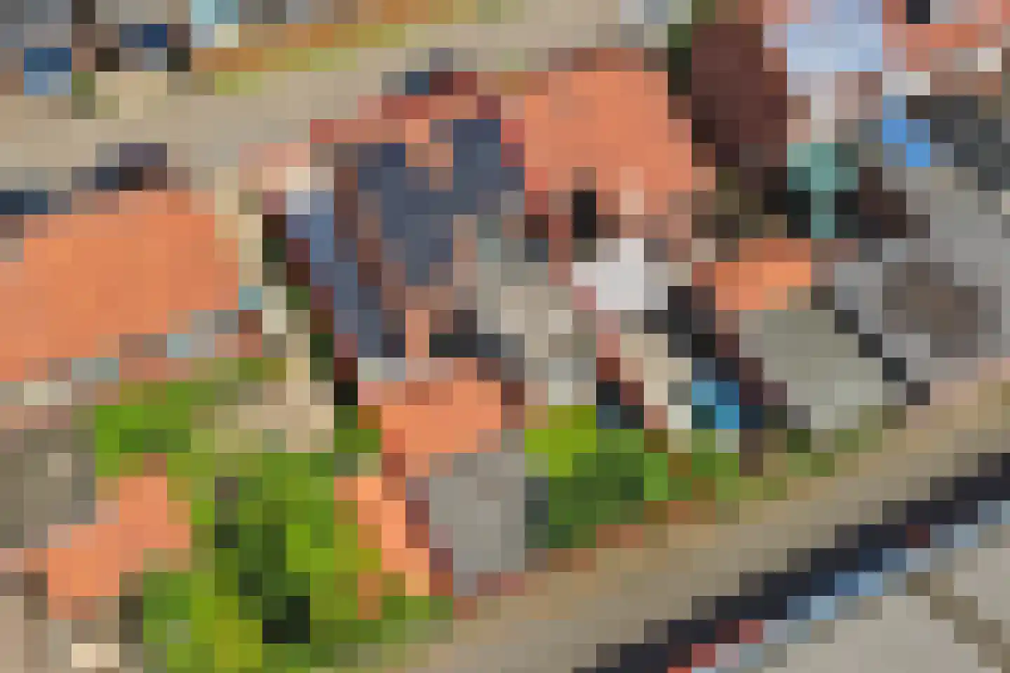 Rengelinkstraat 14 Almelo thumbnail 42