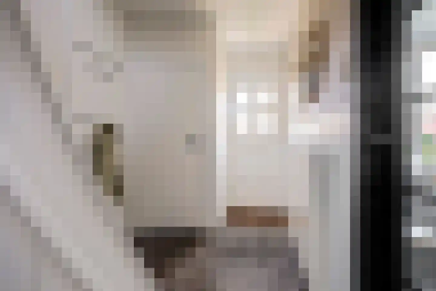 Rengelinkstraat 14 Almelo thumbnail 6