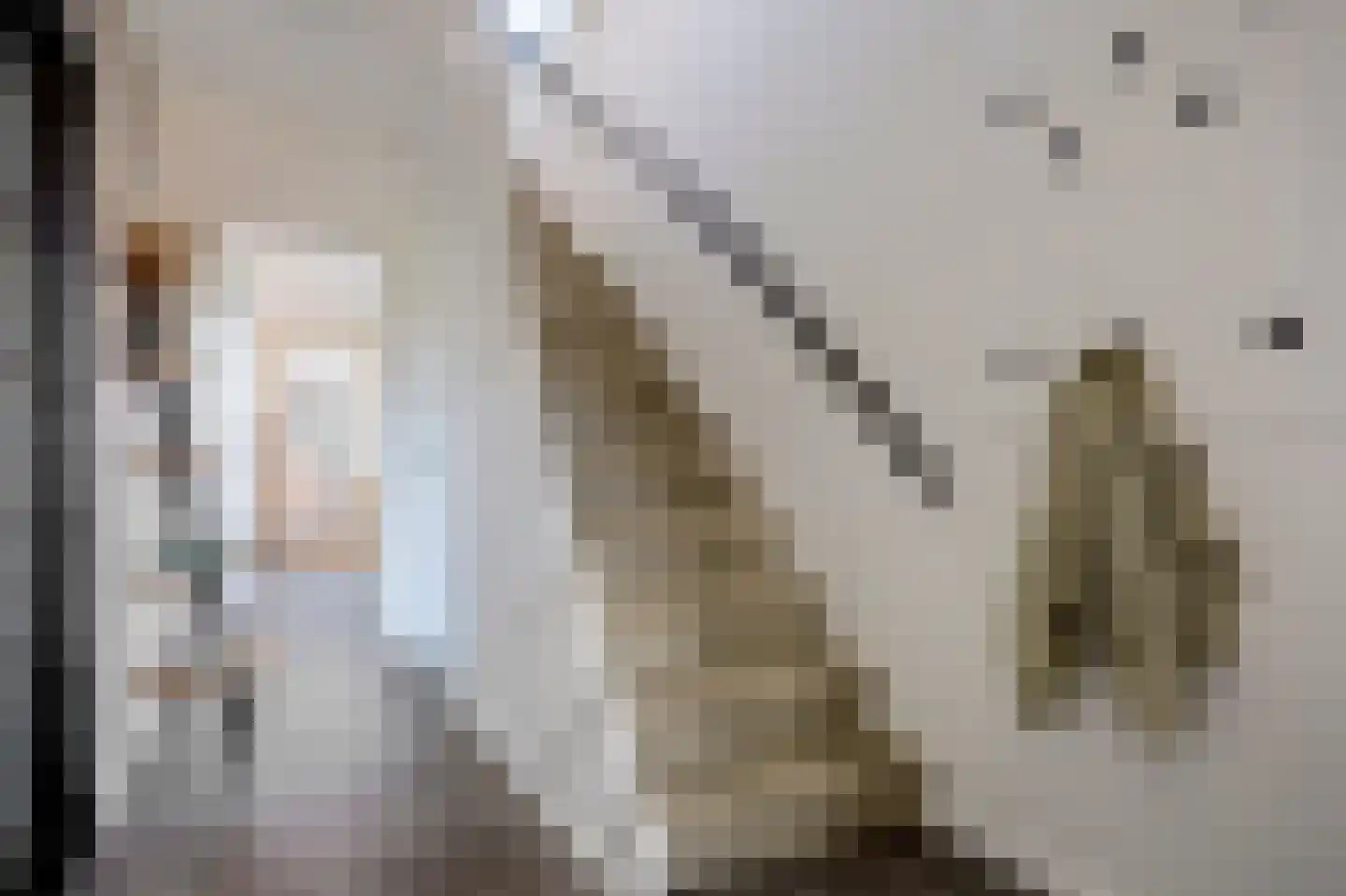 Rengelinkstraat 14 Almelo thumbnail 8