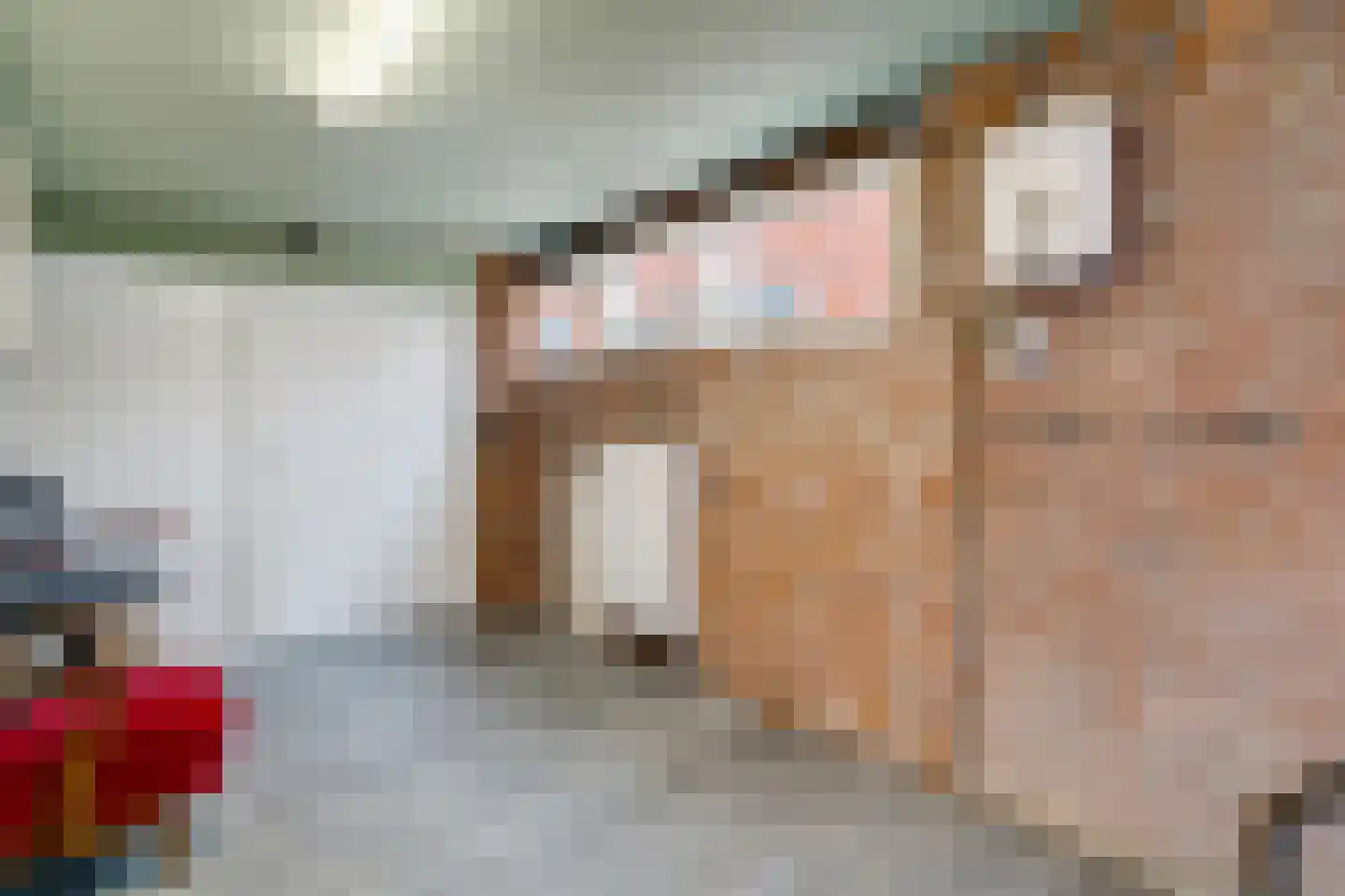 Rengelinkstraat 17 Almelo thumbnail 20
