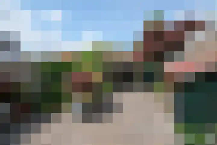 Rengelinkstraat 41 Almelo thumbnail 11