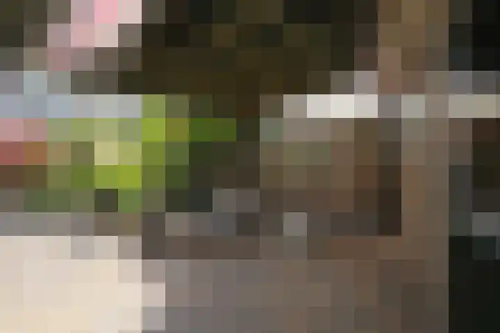 Rengelinkstraat 41 Almelo thumbnail 12