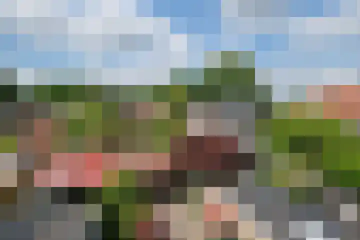 Rengelinkstraat 41 Almelo thumbnail 20