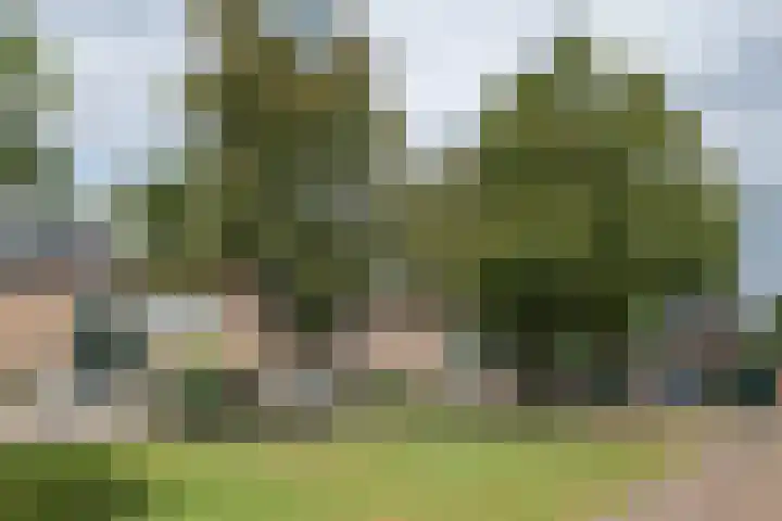 Rengelinkstraat 41 Almelo thumbnail 21