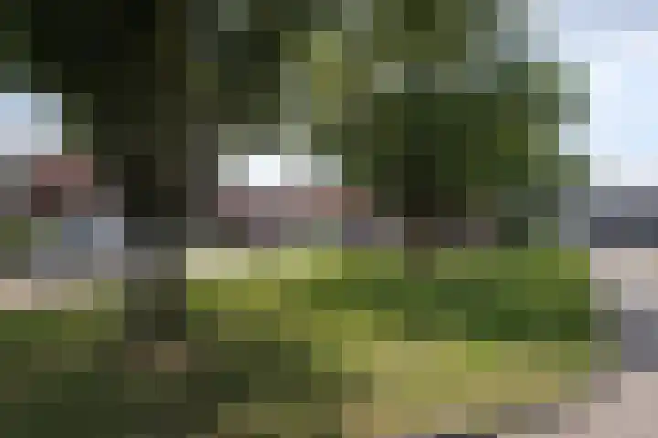 Rengelinkstraat 41 Almelo thumbnail 22