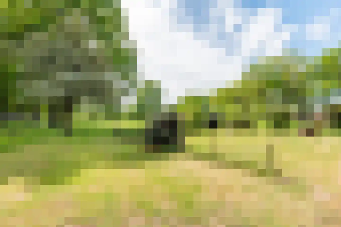 Rengelinkweg 5 Aalten thumbnail 12