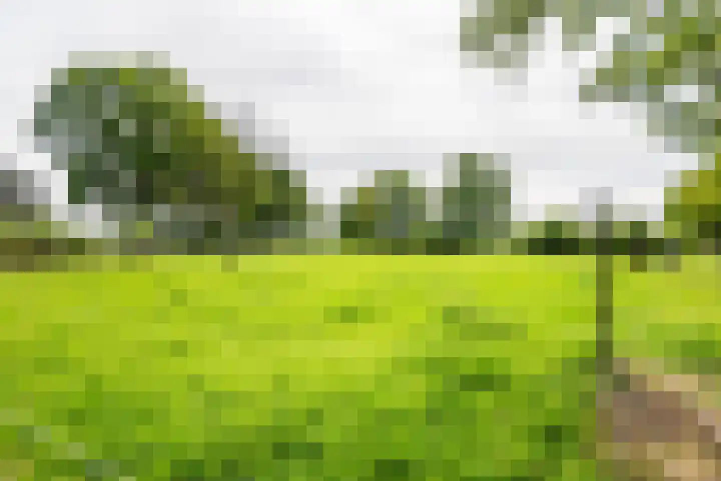Rengelinkweg 5 Aalten thumbnail 14