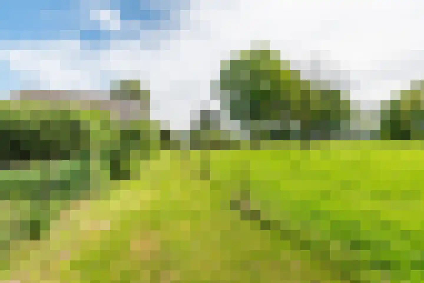 Rengelinkweg 5 Aalten thumbnail 16