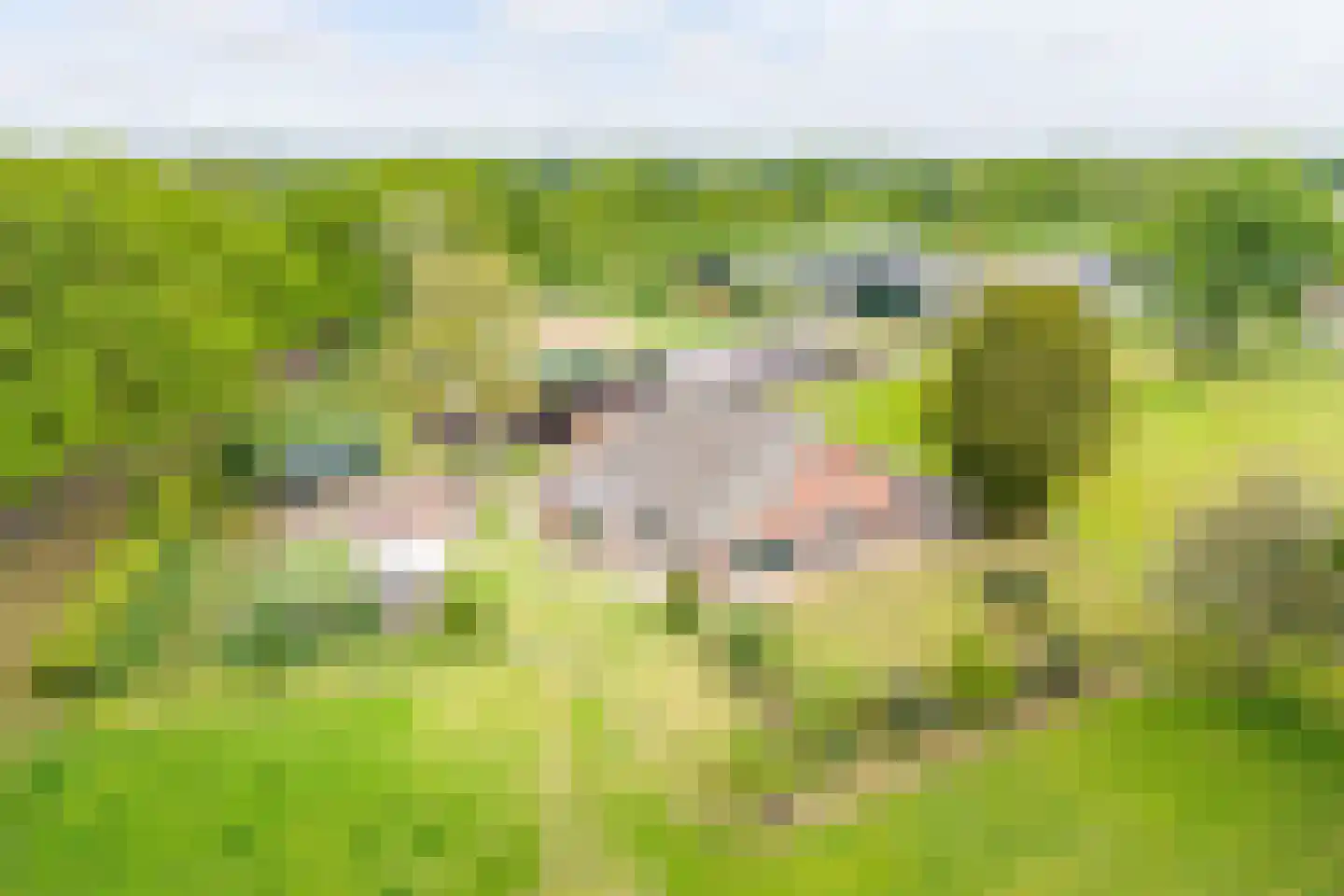 Rengelinkweg 5 Aalten thumbnail 18