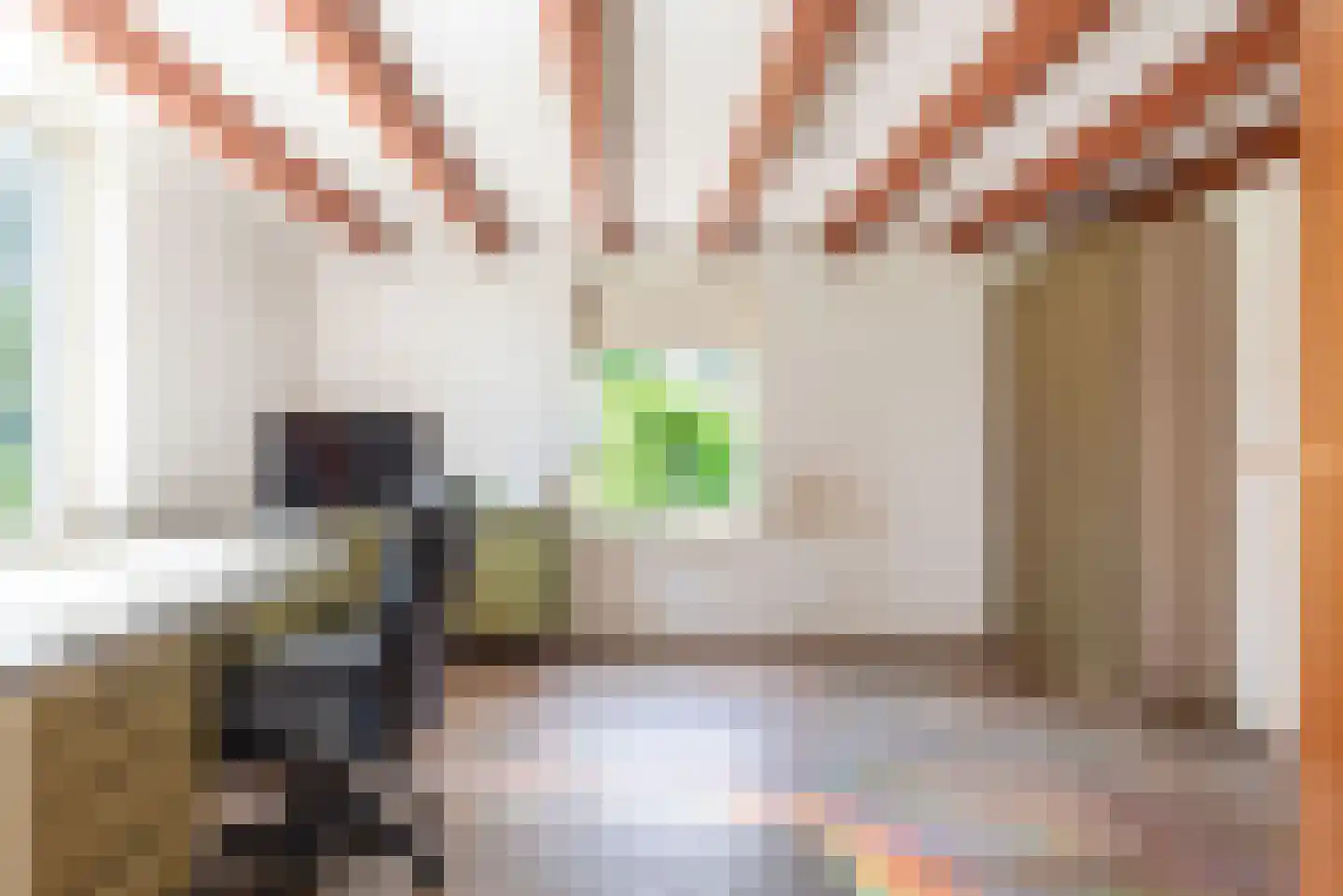 Rengelinkweg 5 Aalten thumbnail 29