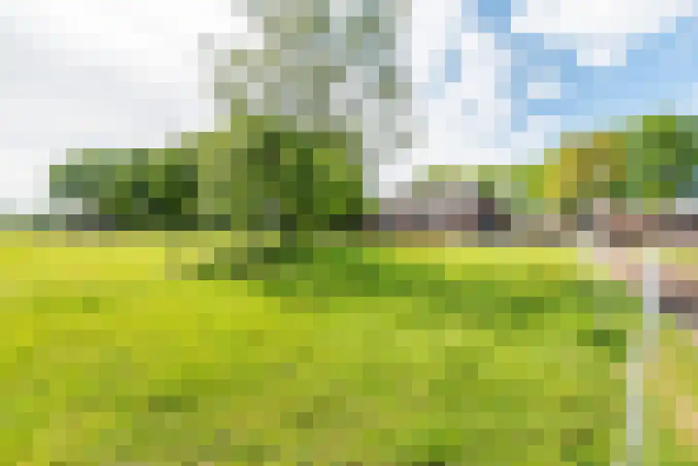 Rengelinkweg 5 Aalten thumbnail 4