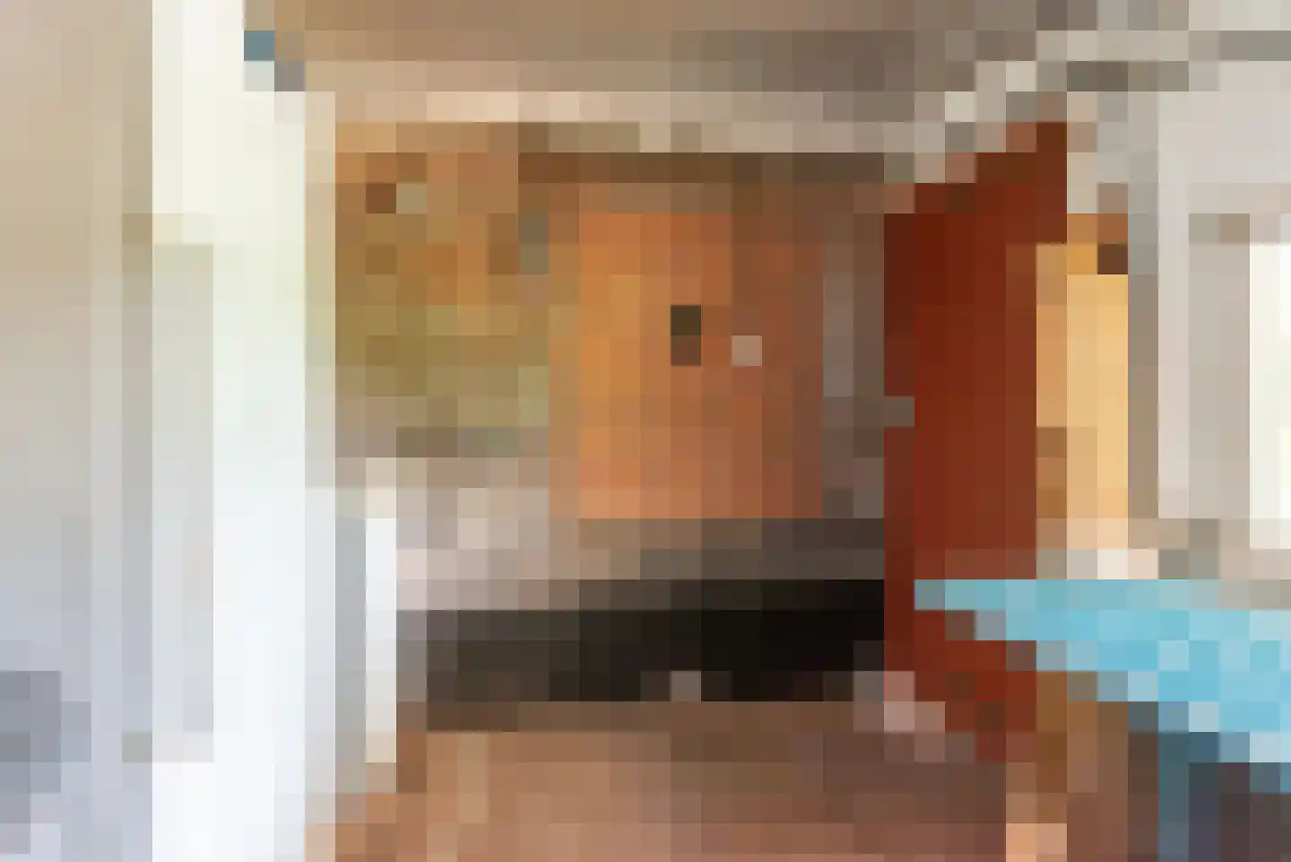 Rengelinkweg 5 Aalten thumbnail 48
