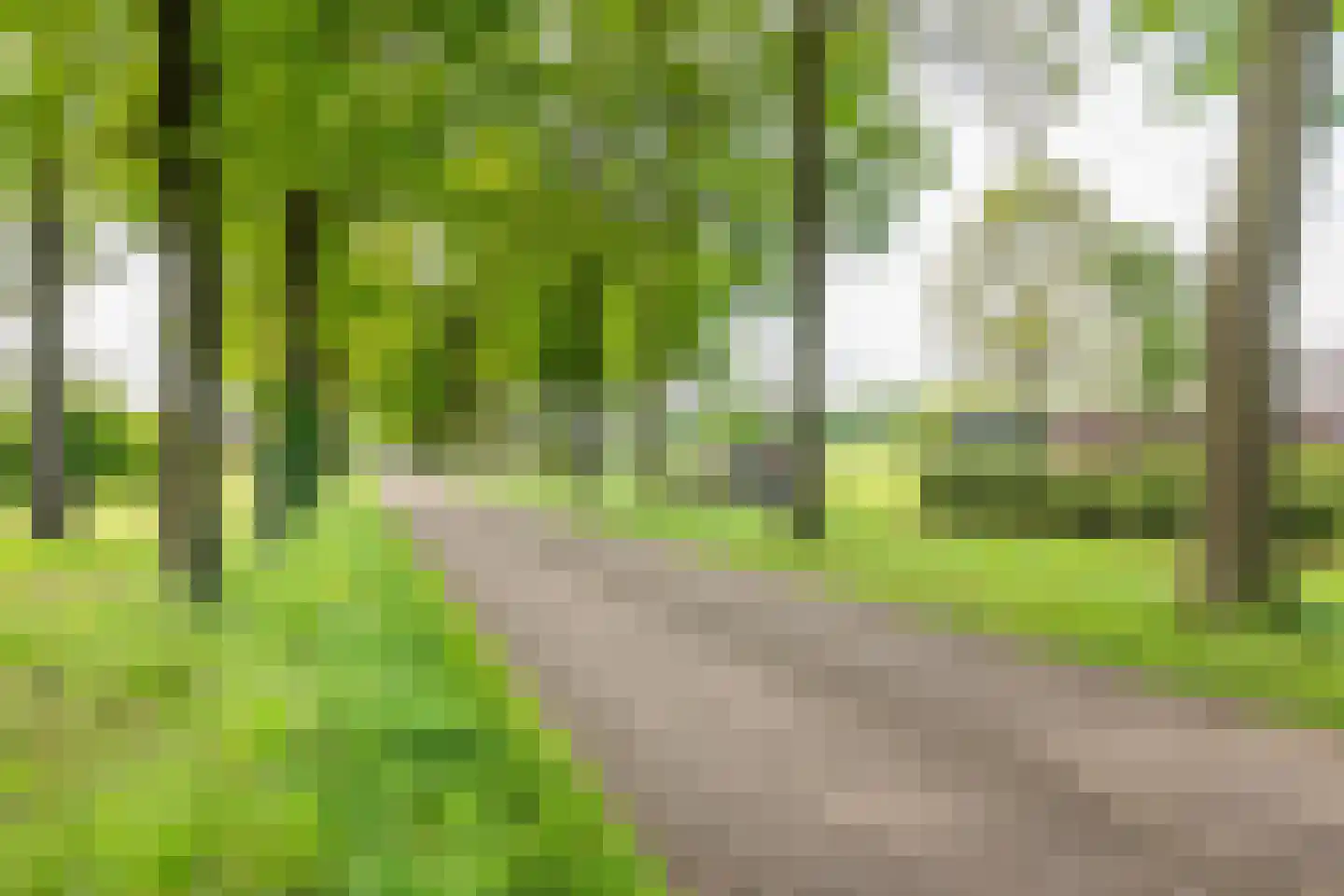 Rengelinkweg 5 Aalten thumbnail 63