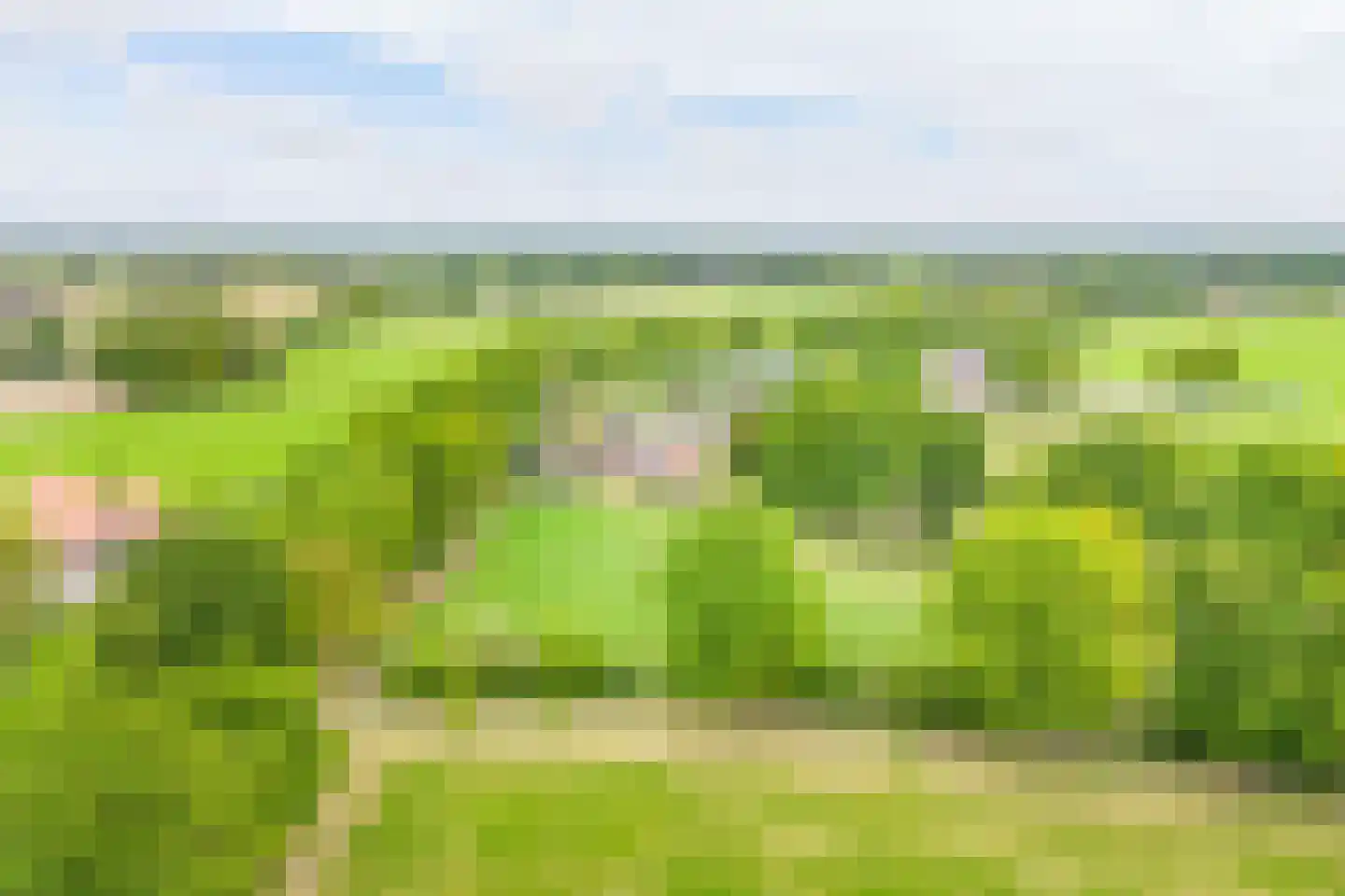 Rengelinkweg 5 Aalten thumbnail 64