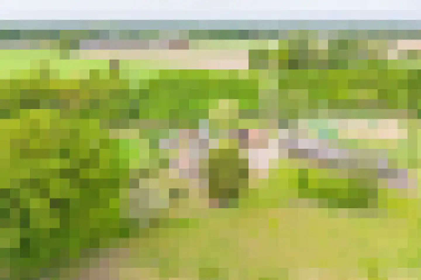 Rengelinkweg 5 Aalten thumbnail 64