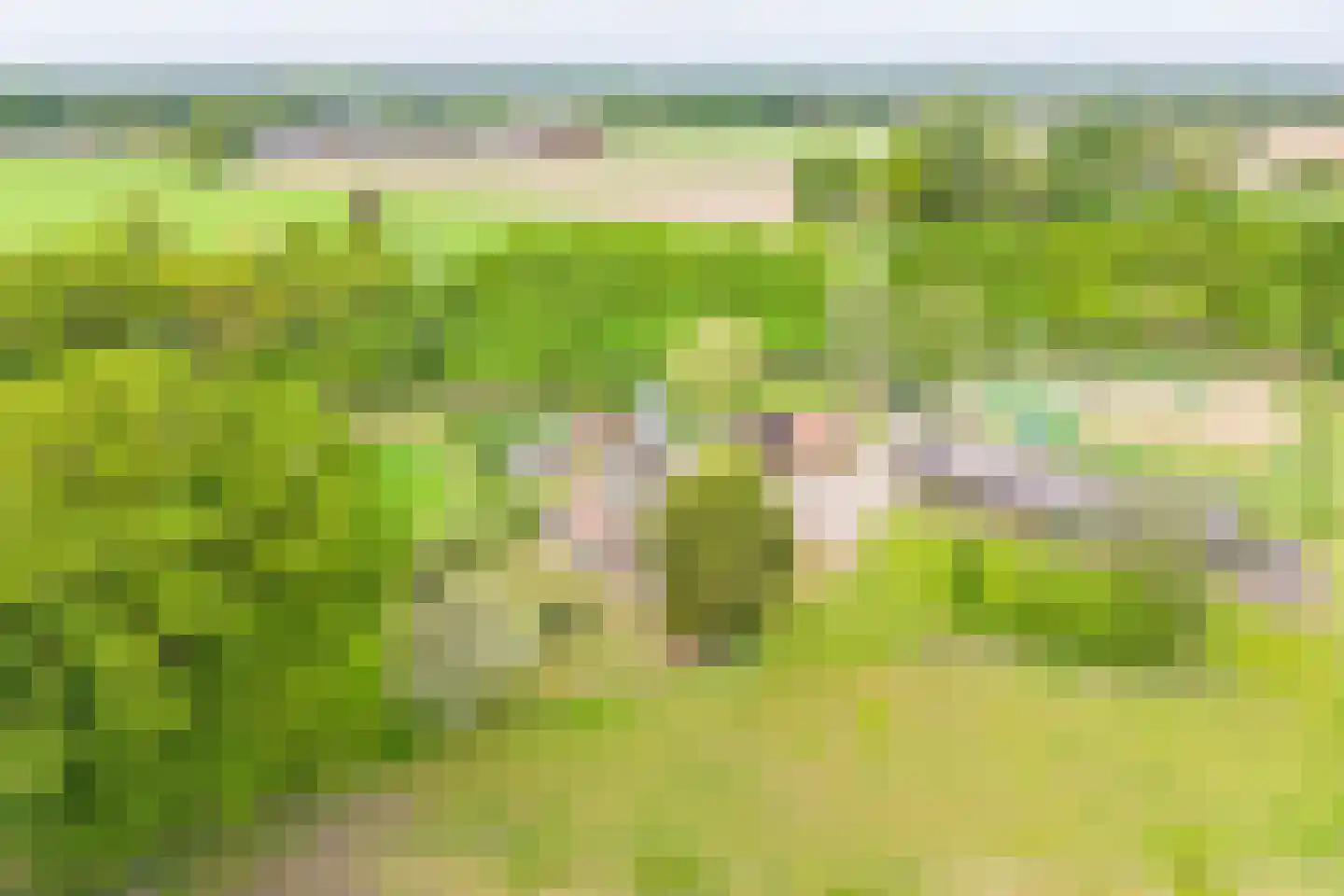 Rengelinkweg 5 Aalten thumbnail 65
