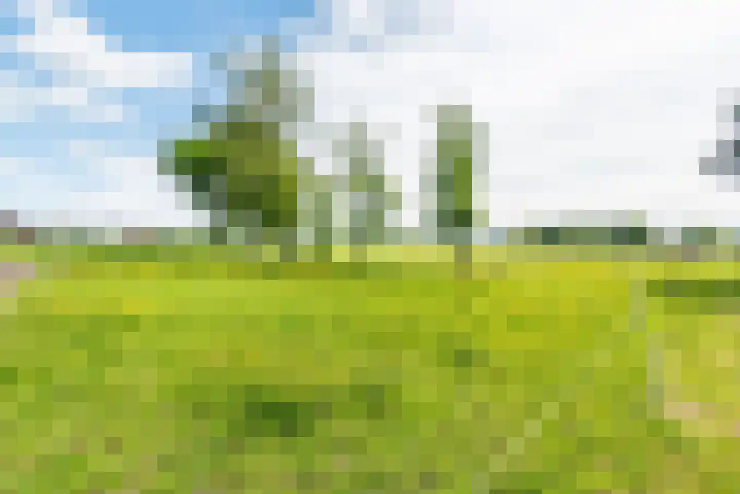 Rengelinkweg 5 Aalten thumbnail 7