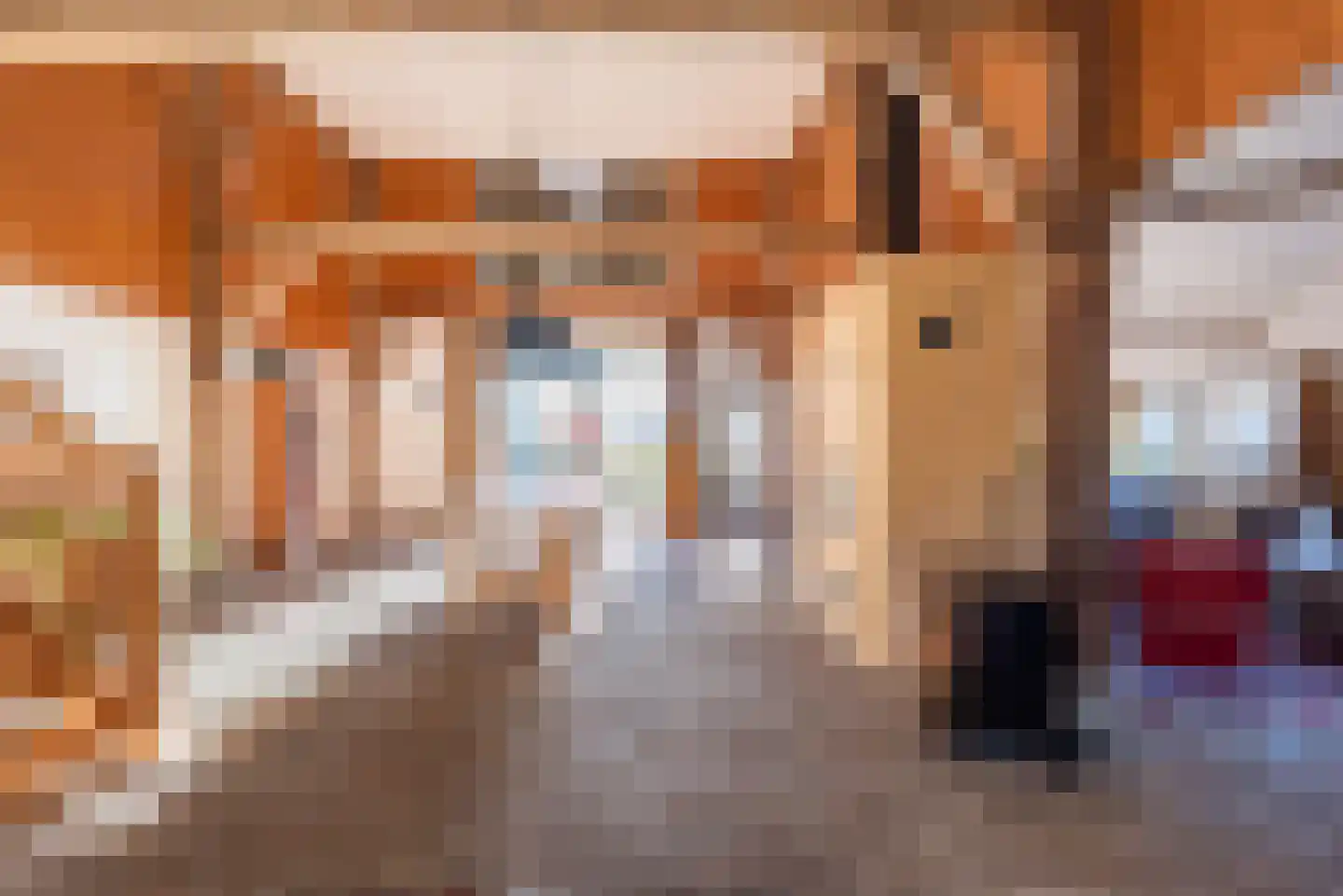 Rengelinkweg 7 Aalten thumbnail 10