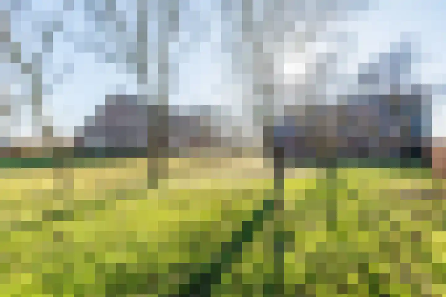 Rengelinkweg 7 Aalten thumbnail 38