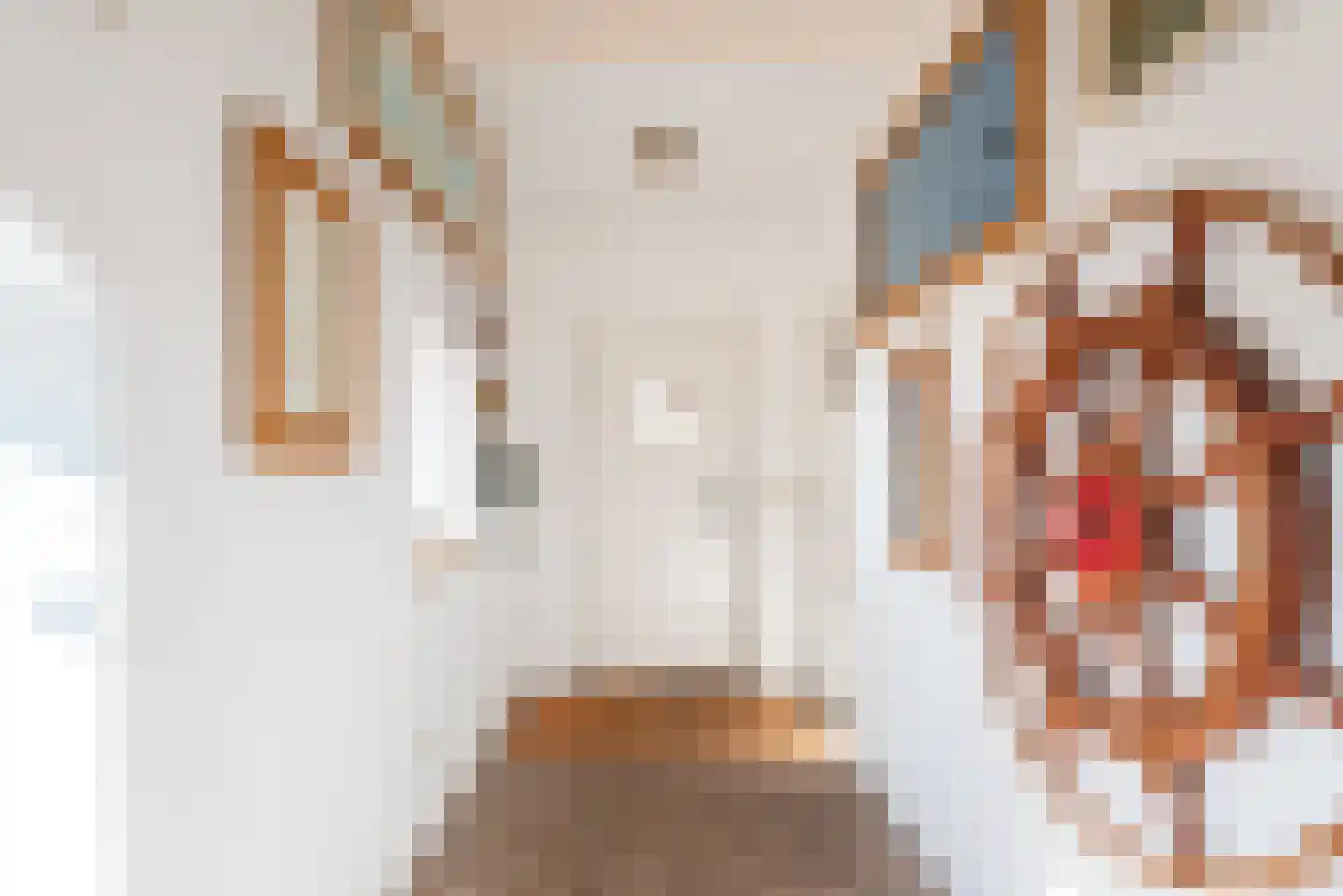 Rengelinkweg 7 Aalten thumbnail 8
