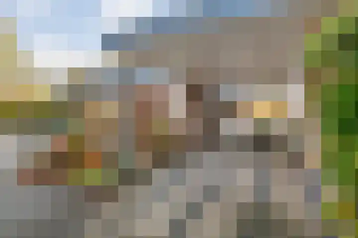 Rengersdiep 22 Zwolle thumbnail 10
