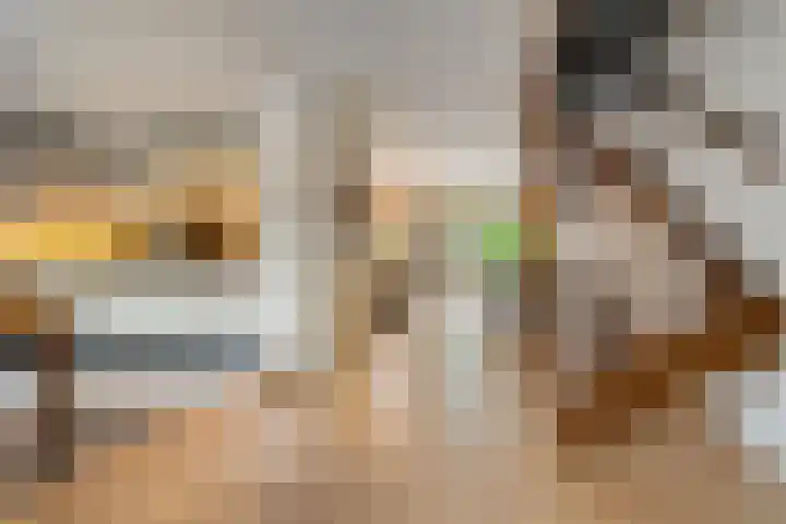 Rengersdiep 22 Zwolle thumbnail 13