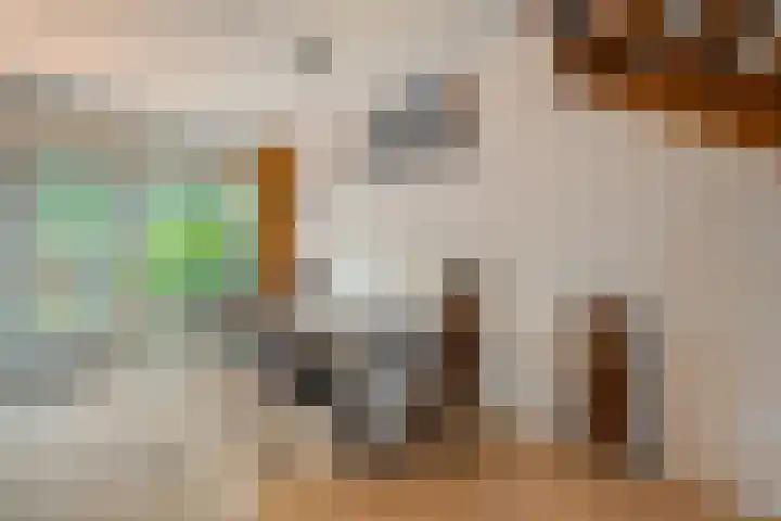 Rengersdiep 22 Zwolle thumbnail 18