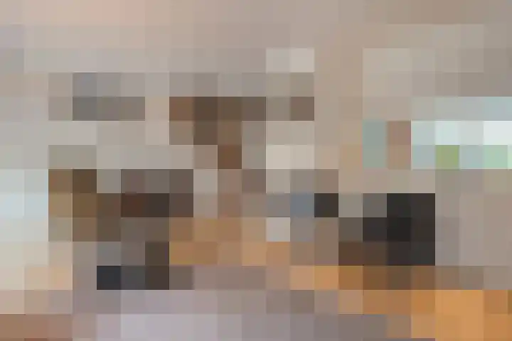 Rengersdiep 22 Zwolle thumbnail 20