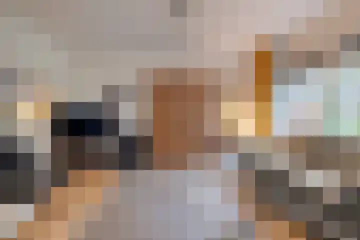 Rengersdiep 22 Zwolle thumbnail 21