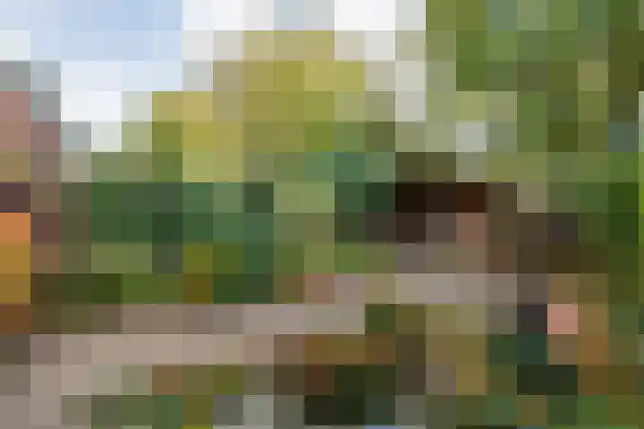 Rengersdiep 22 Zwolle thumbnail 36