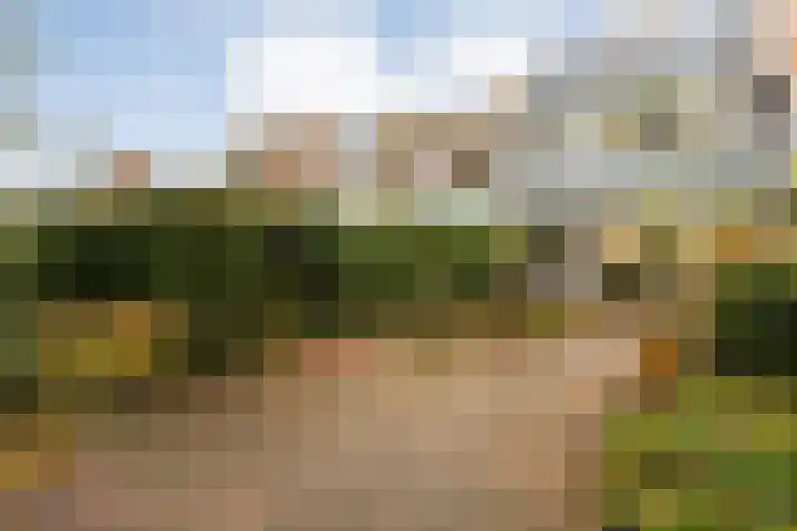 Rengersdiep 22 Zwolle thumbnail 37