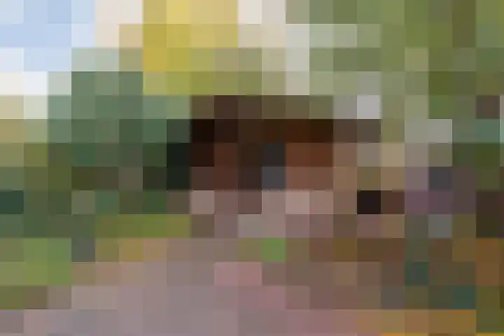 Rengersdiep 22 Zwolle thumbnail 38