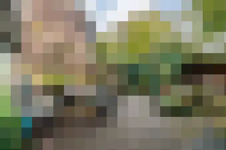 Rengersdiep 22 Zwolle thumbnail 5