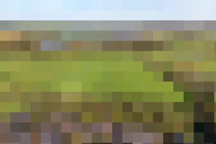 Rengersdiep 22 Zwolle thumbnail 8