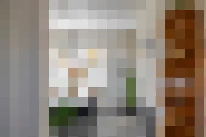Rengerslaan 25 Kolham thumbnail 14