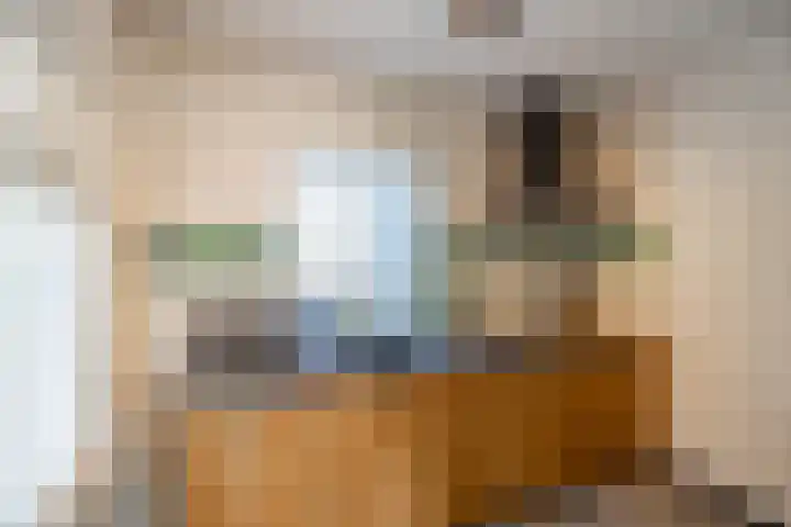 Rengerslaan 25 Kolham thumbnail 16