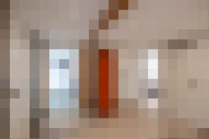 Rengerslaan 25 Kolham thumbnail 17