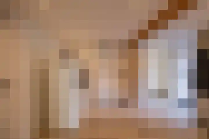 Rengerslaan 25 Kolham thumbnail 18