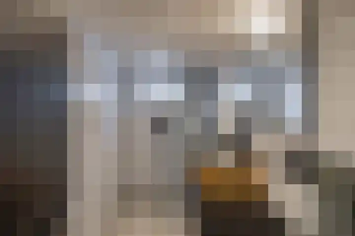 Rengerslaan 25 Kolham thumbnail 22